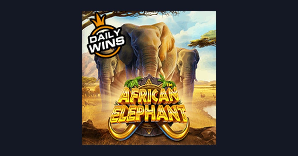 Jam Gacor Terbaru African Elephant: Sensasi Slot Pembayaran Cepat